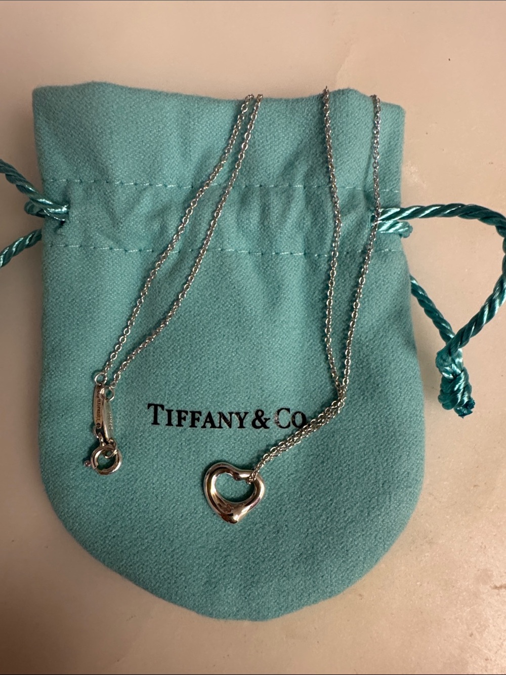 Necklace on Tiffany pouch